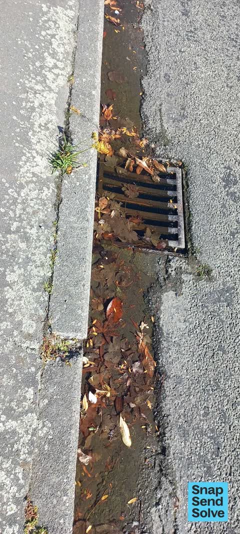 Street Gutters / Storm Water, a report photo