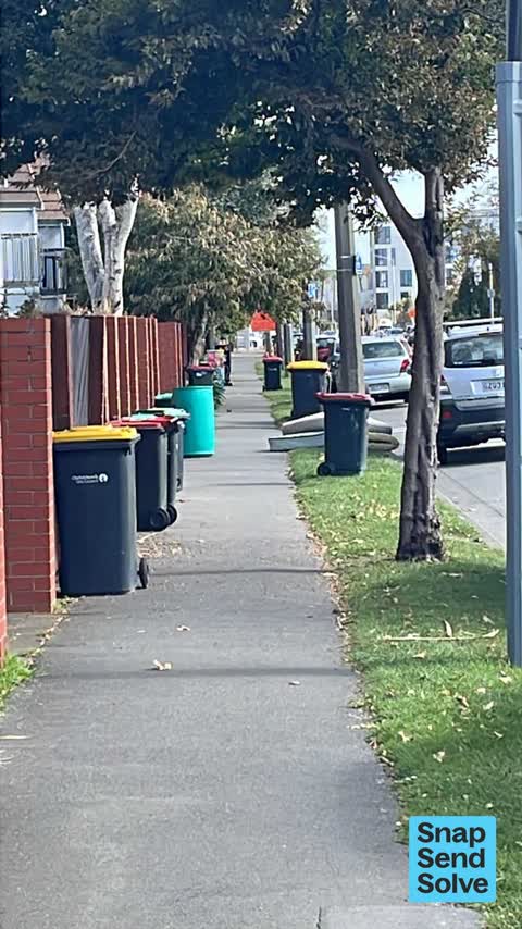 Rubbish and Bins - General, a report photo