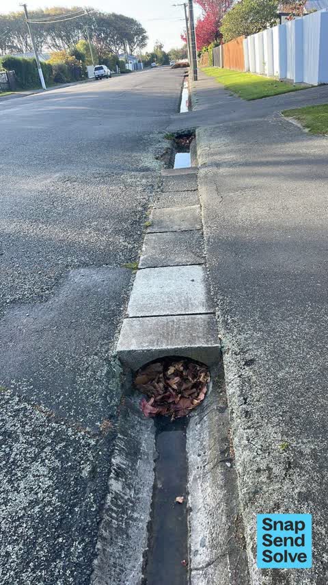 Sewer - Leak / Blockage, a report photo