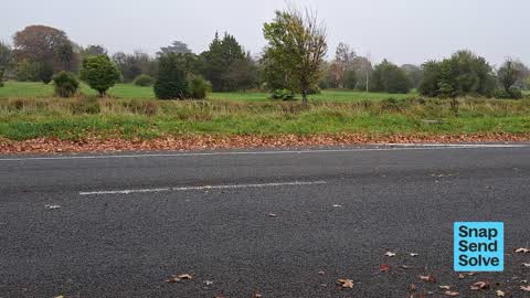 Overgrown Vegetation, a report photo