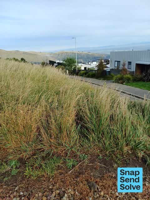 Park - General Request, a report photo