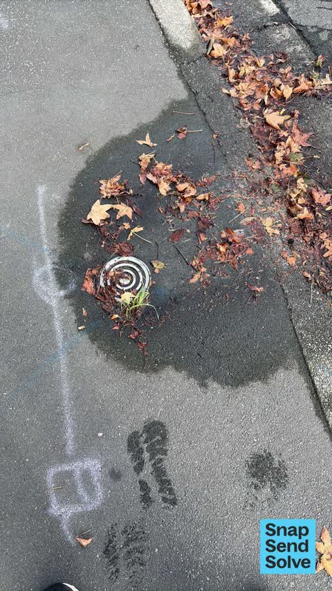 Water Leak, a report photo