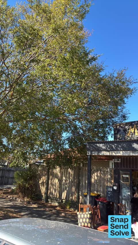 Overgrown Vegetation, a report photo