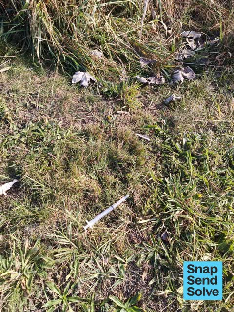 Litter, a report photo