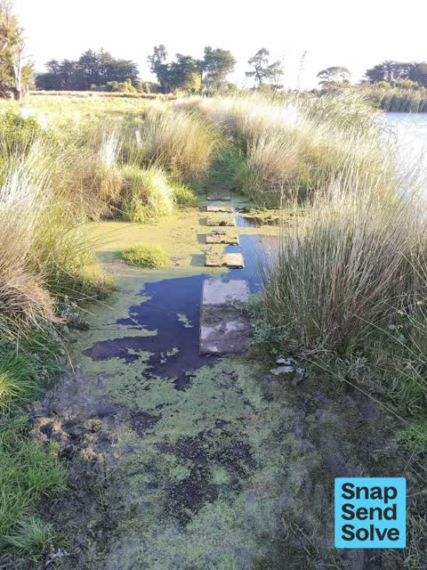 Park - General Request — a report photo