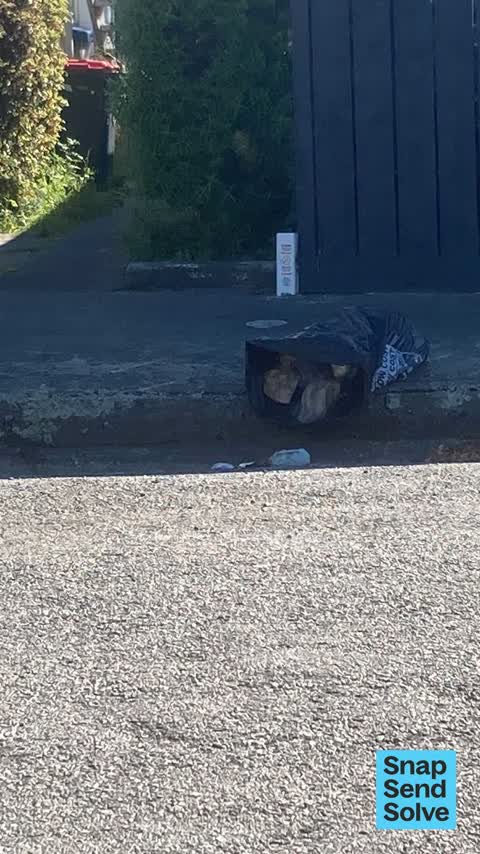 Dumped Rubbish, a report photo