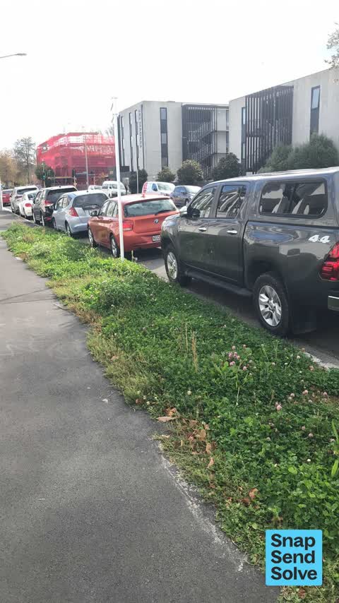 Overgrown Vegetation — a report photo