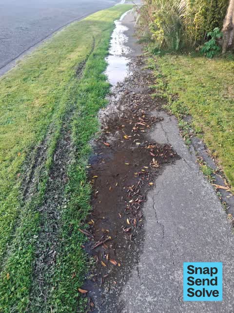 Water Leak, a report photo
