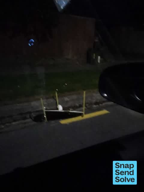 Litter — a report photo