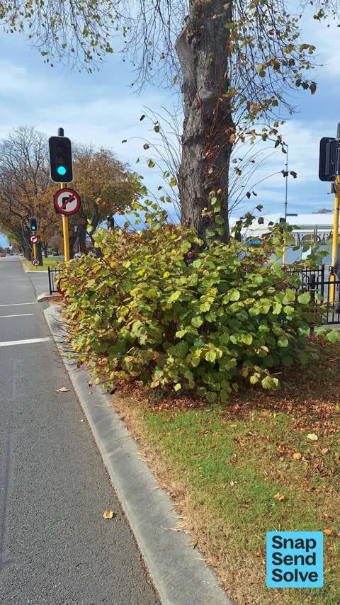 Road Blockage — a report photo
