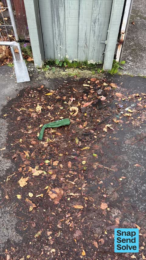 Water Leak, a report photo