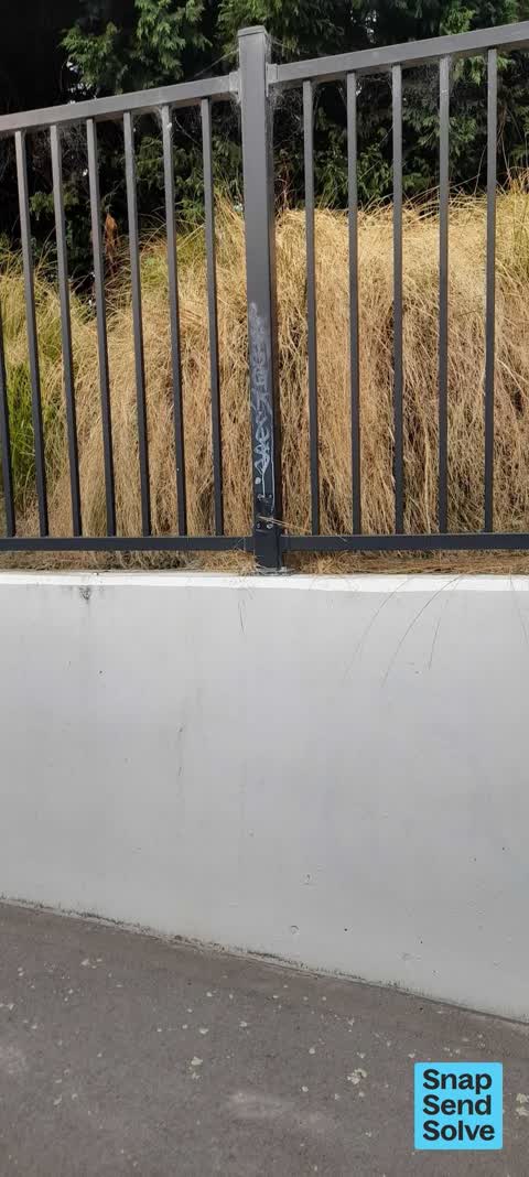Graffiti on a road, footpath or bridge, a report photo