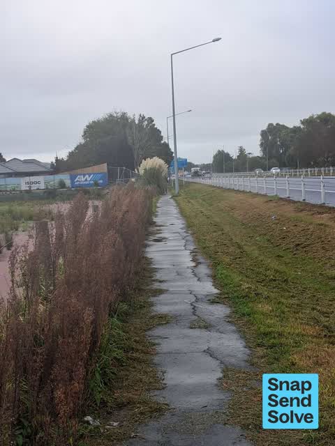 Overgrown Vegetation, a report photo