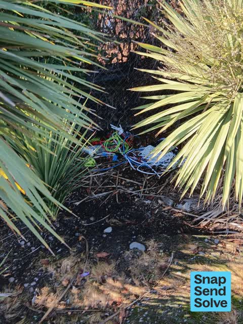 Dumped Rubbish — a report photo