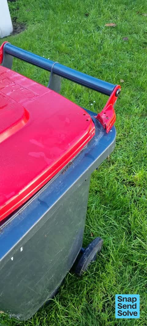 Rubbish and Bins - General, a report photo