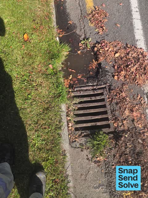 Street Gutters / Storm Water, a report photo