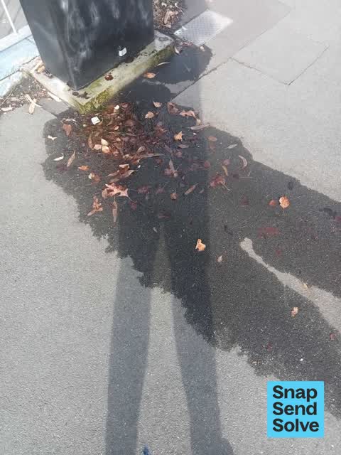 Water Leak, a report photo