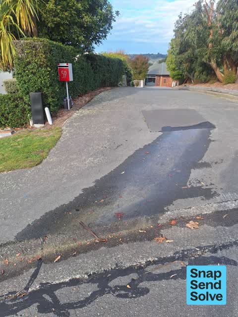 Water Leak, a report photo