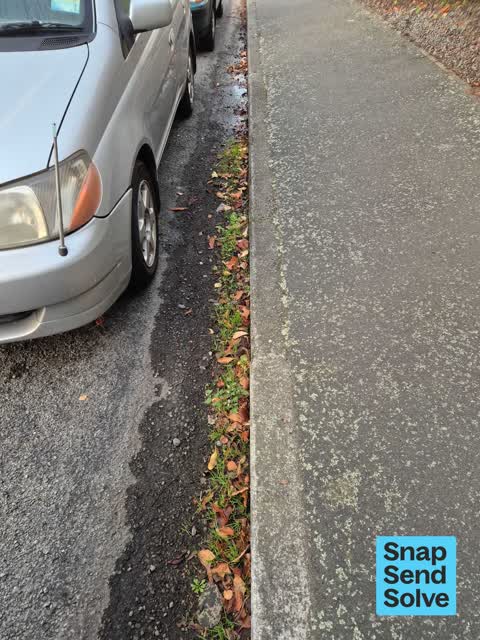 Street Gutters / Storm Water, a report photo