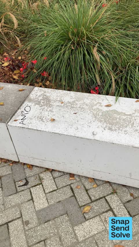 Graffiti on a playground or in a park — a report photo