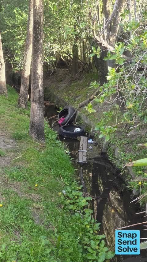 Dumped Rubbish, a report photo