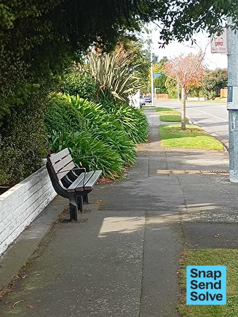 Overgrown Vegetation, a report photo