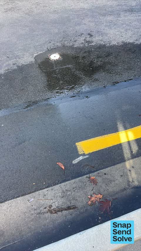 Water Leak, a report photo