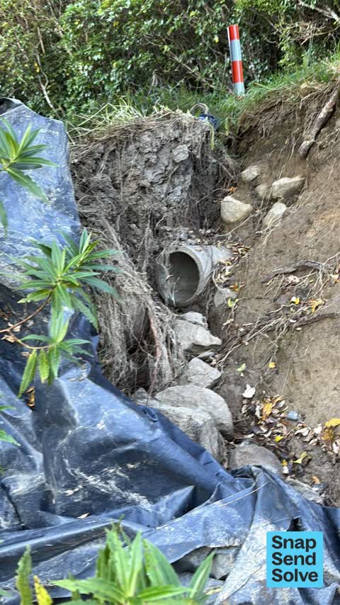General Request, a report photo
