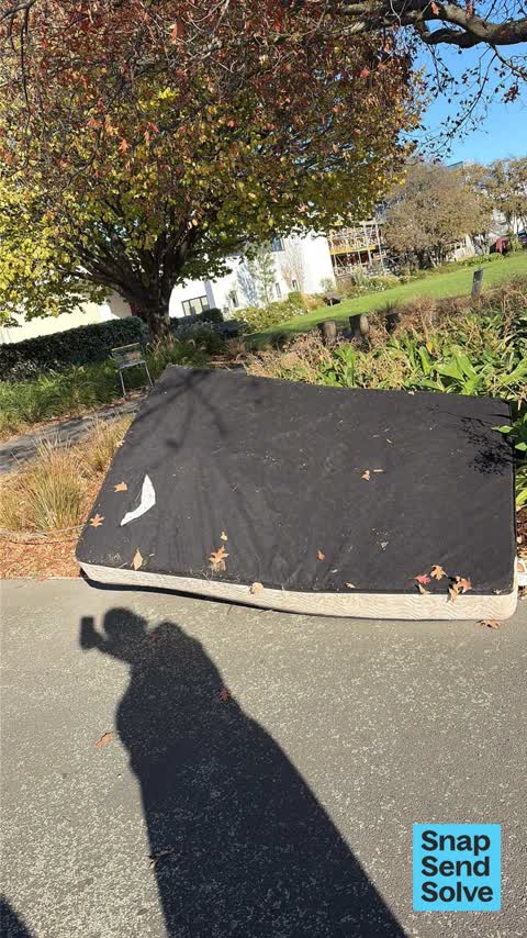 Dumped Rubbish, a report photo