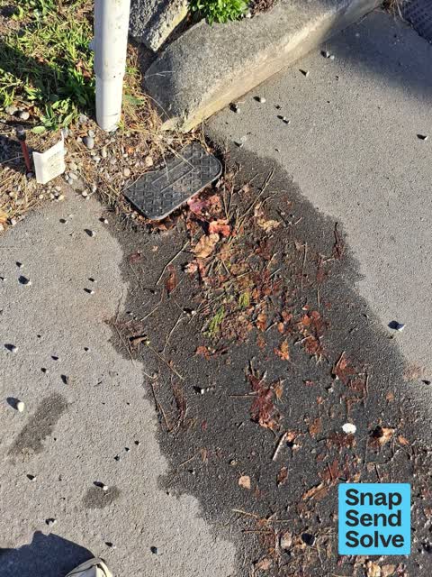 Water Leak, a report photo