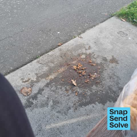 Bus Shelter Issue, a report photo