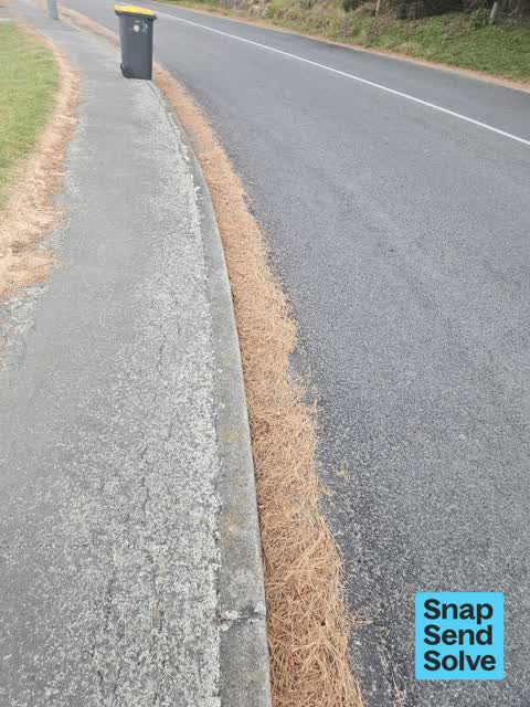 Street Cleaning, a report photo