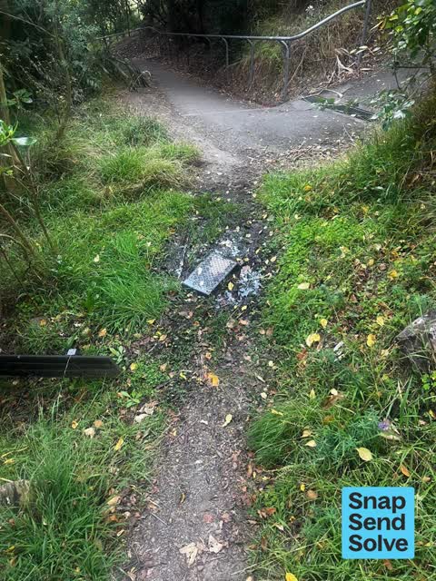 Sewer - Leak / Blockage, a report photo
