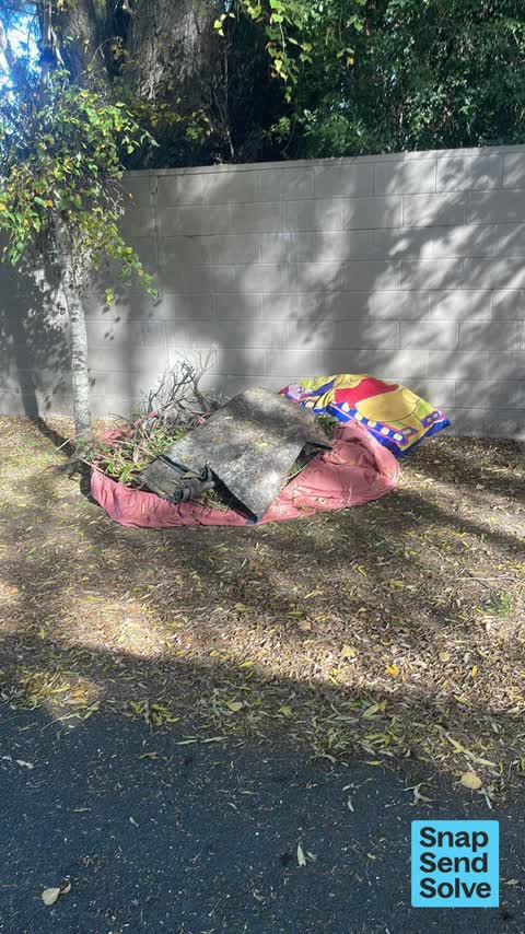 Litter, a report photo