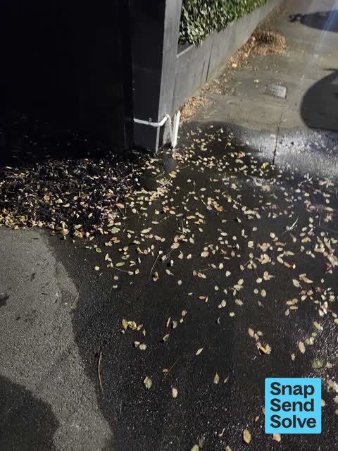 Water Leak, a report photo
