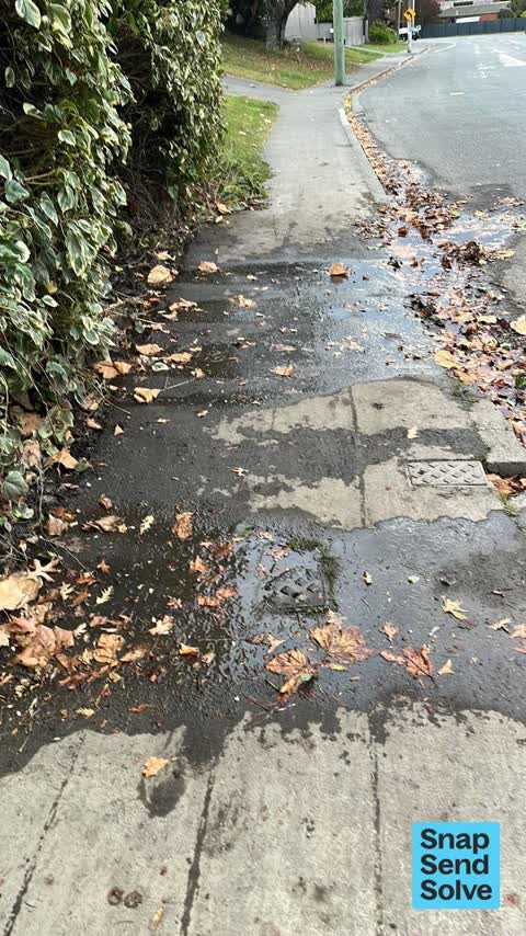Water Leak — a report photo