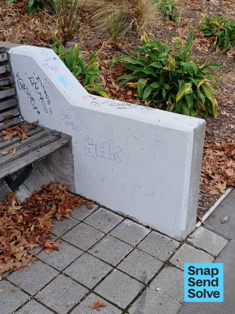 Graffiti on a playground or in a park, a report photo