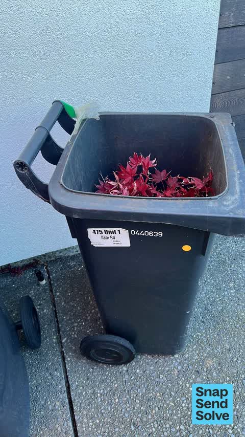 Rubbish and Bins - General, a report photo