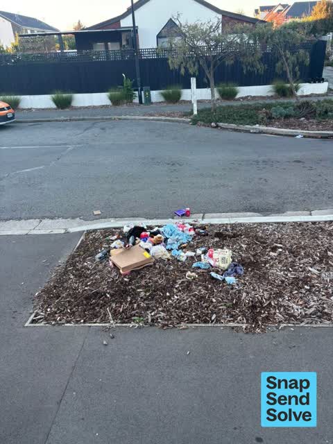 Litter, a report photo