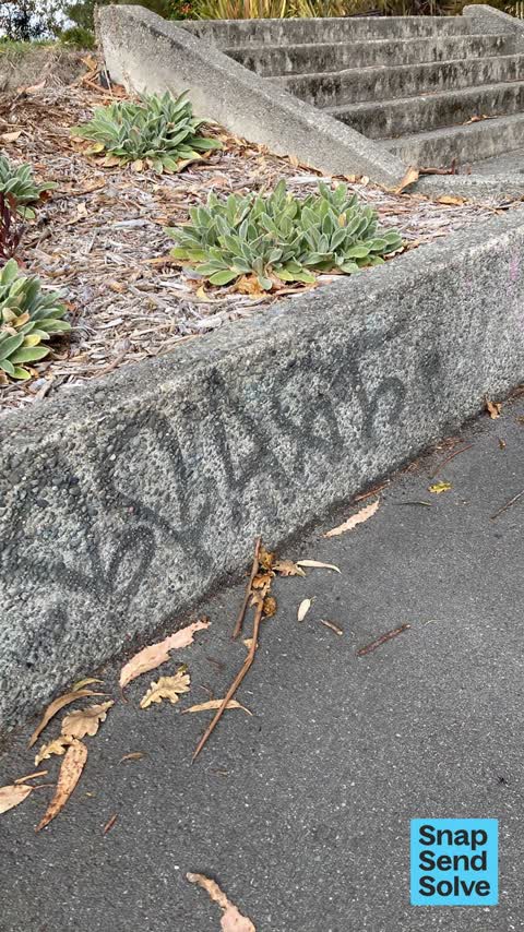 Graffiti on a playground or in a park, a report photo