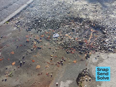 Water Leak, a report photo