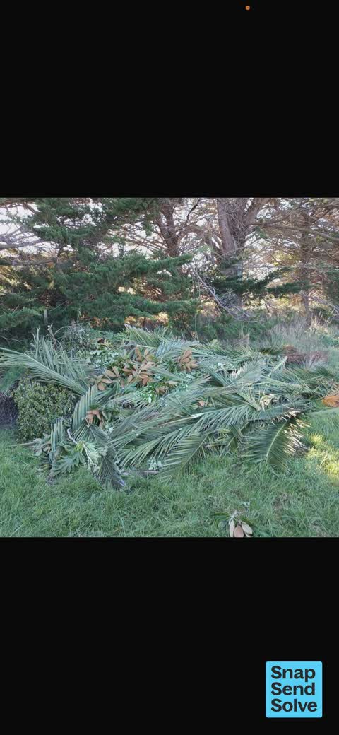 Dumped Rubbish — a report photo