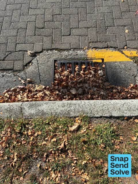 Street Gutters / Storm Water, a report photo
