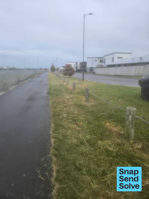Overgrown Vegetation, a report photo