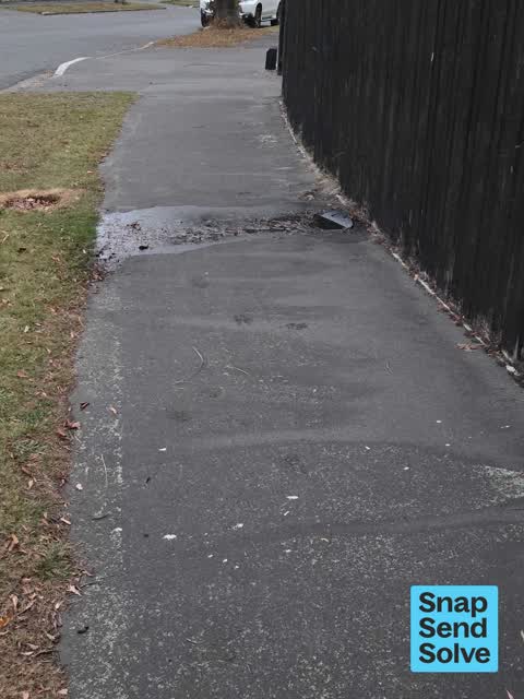 Water Leak, a report photo