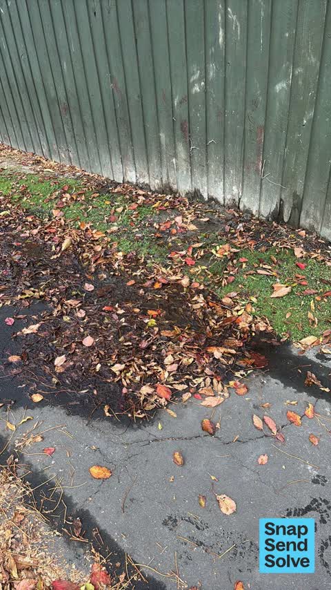 Water Leak, a report photo
