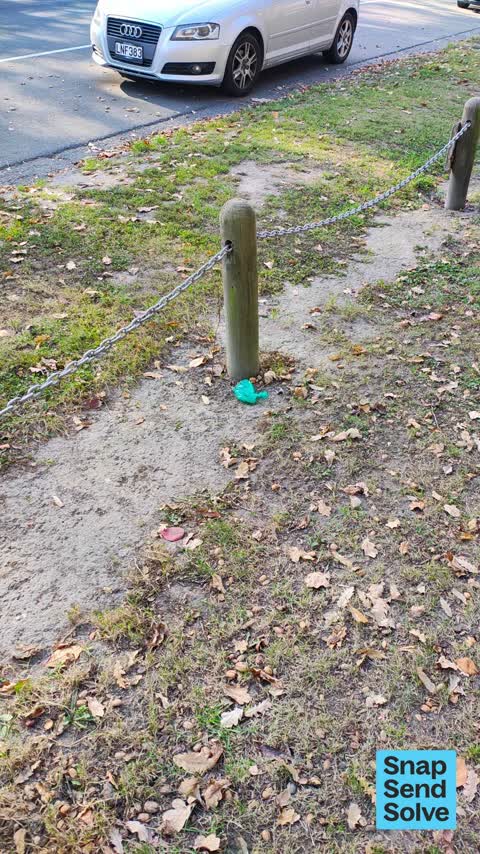 Litter, a report photo