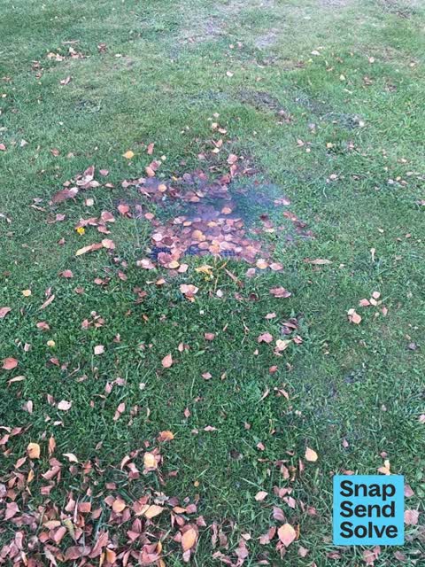 Water Leak, a report photo