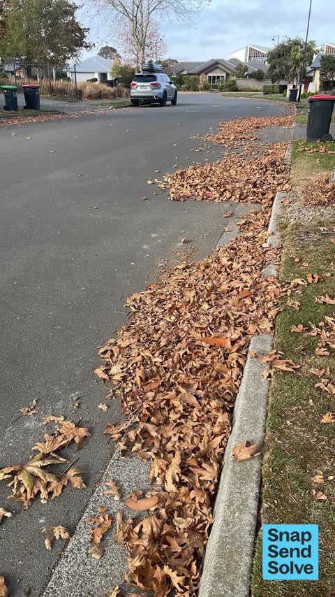 Street Cleaning, a report photo
