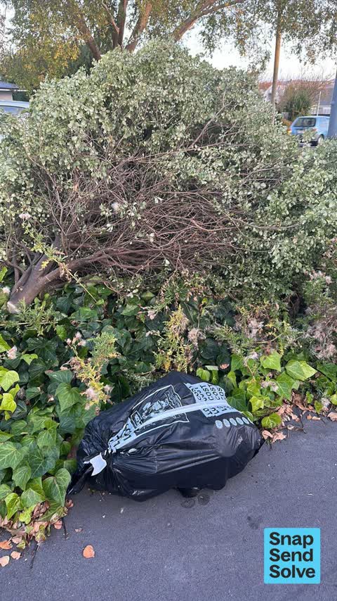 Dumped Rubbish — a report photo